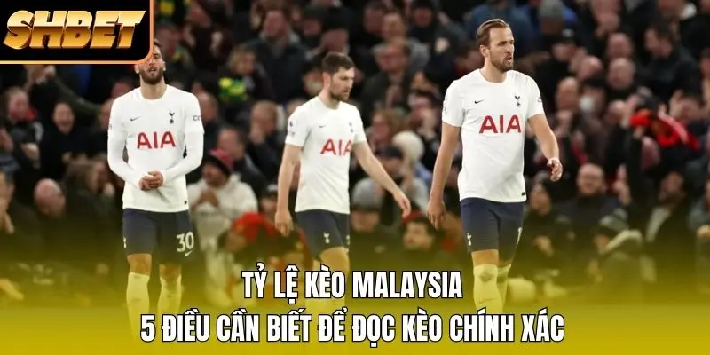 Tỷ Lệ Kèo Malaysia - 5 Điều Cần Biết Để Đọc Kèo Chính Xác