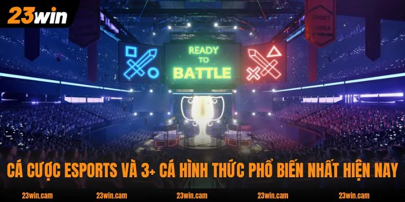 Cá Cược eSports Và 3+ Cá Hình Thức Phổ Biến Nhất Hiện Nay