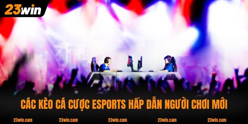 Các kèo cá cược eSports hấp dẫn người chơi mới