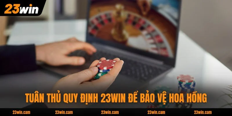 Tuân thủ quy định 23WIN để bảo vệ hoa hồng của bạn