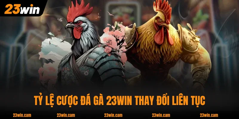 Tỷ lệ cược Đá Gà 23WIN thay đổi liên tục theo dòng tiền